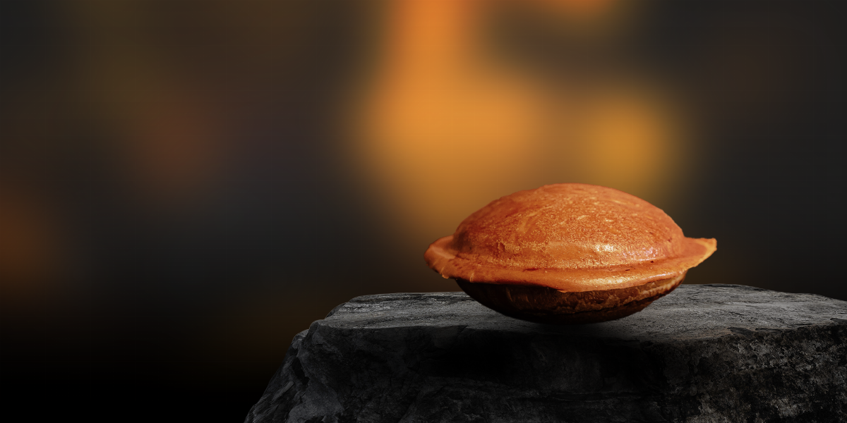 Hamburgueria Enigma